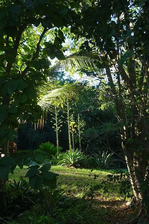 Holiday home Tranquility By The Sea Villa Vieques Puerto Rico