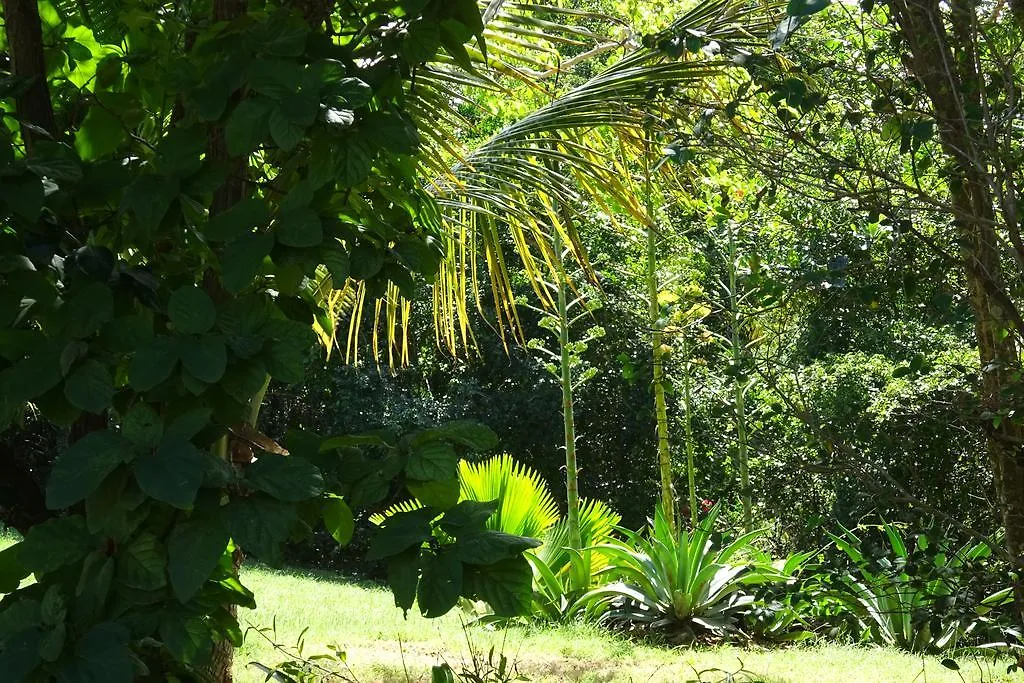 Tranquility By The Sea Villa Vieques Holiday home