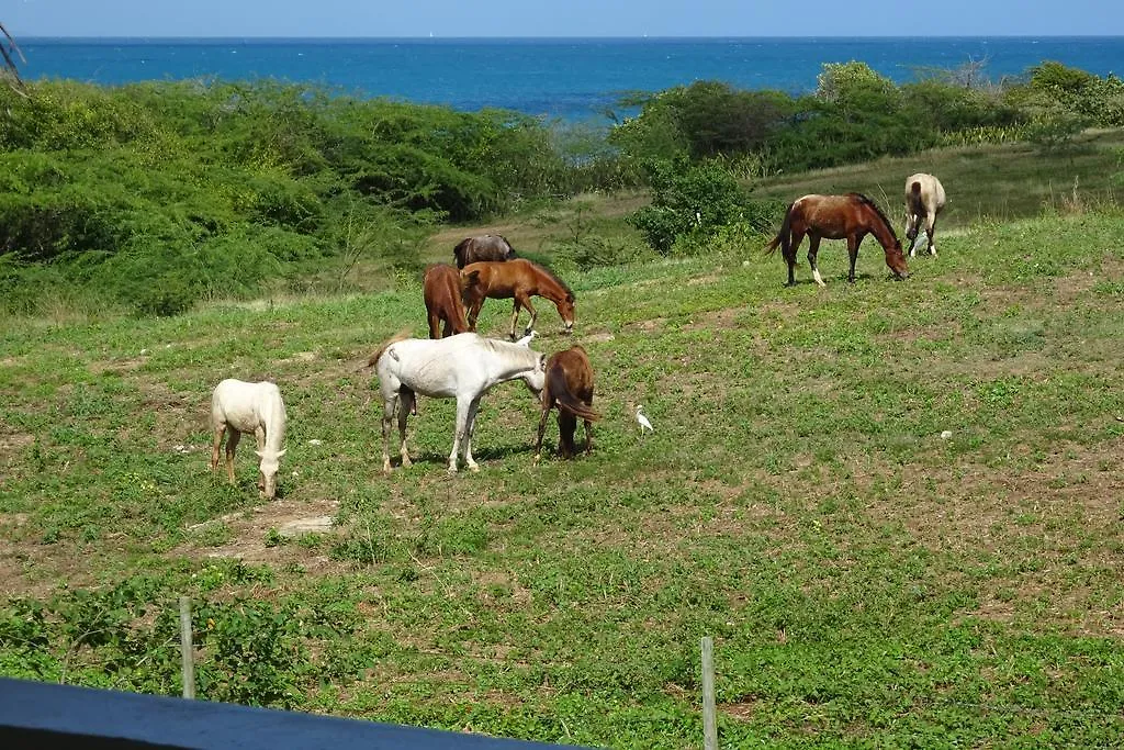 Holiday home Tranquility By The Sea Villa Vieques