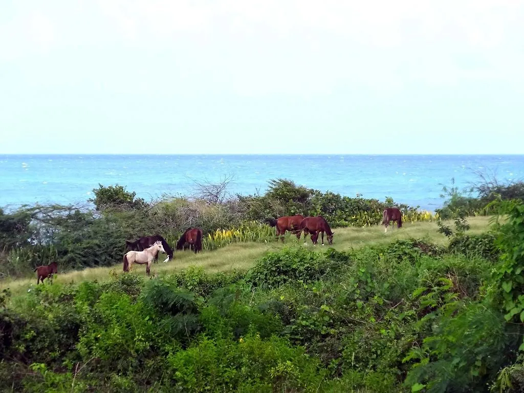 Holiday home Tranquility By The Sea Villa Vieques