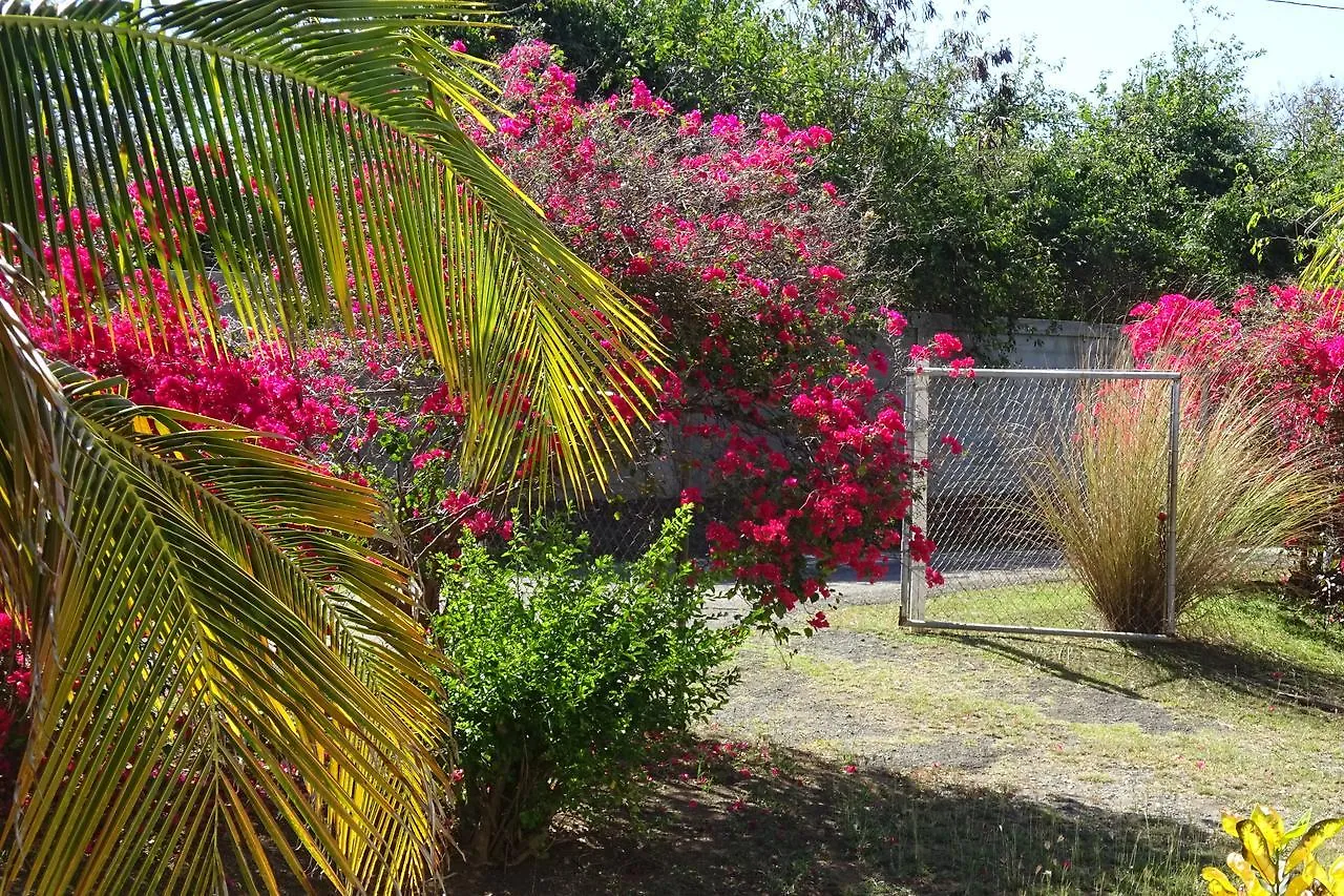 Tranquility By The Sea Villa Vieques 0*,