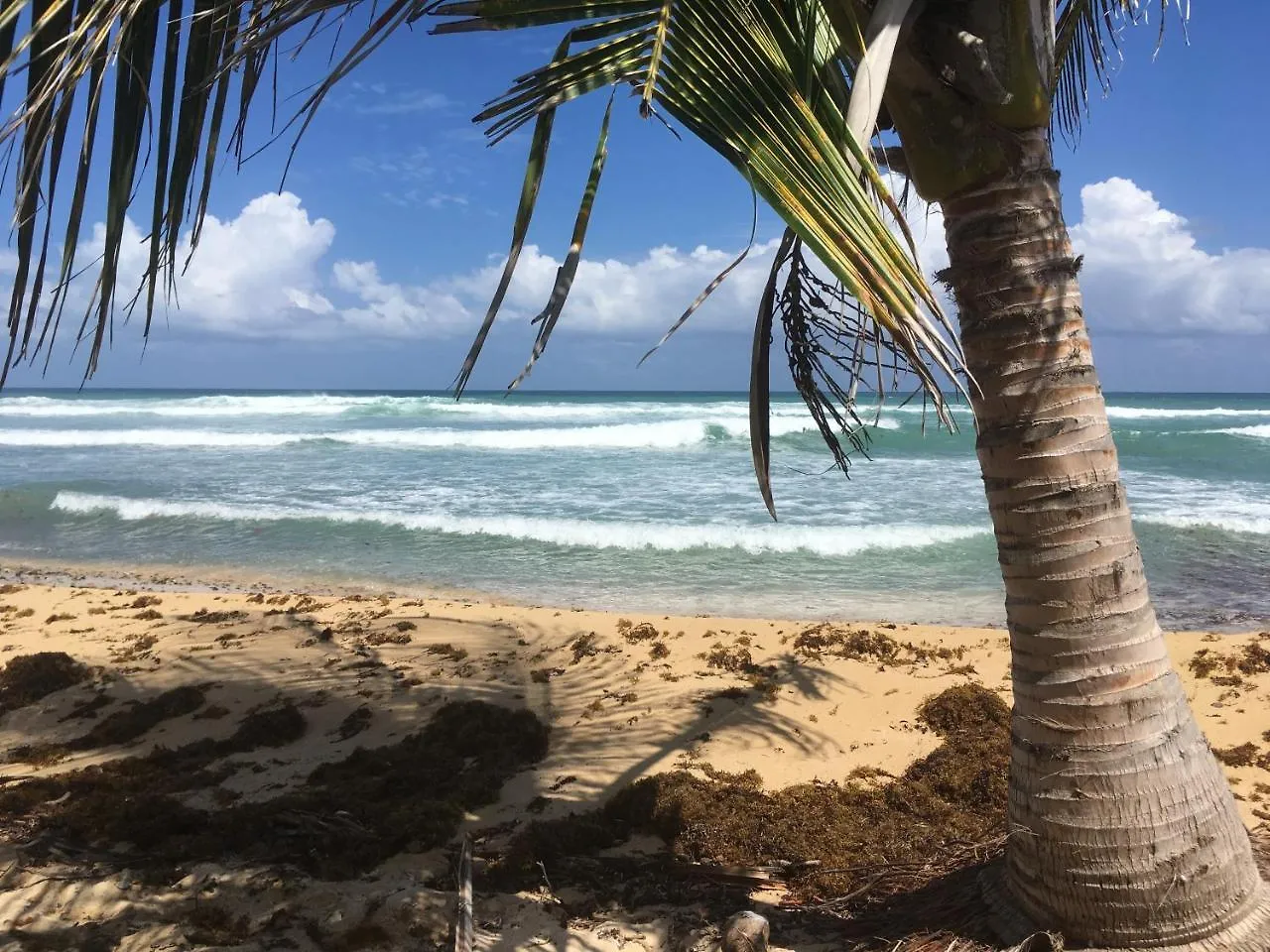 Tranquility By The Sea Villa Vieques